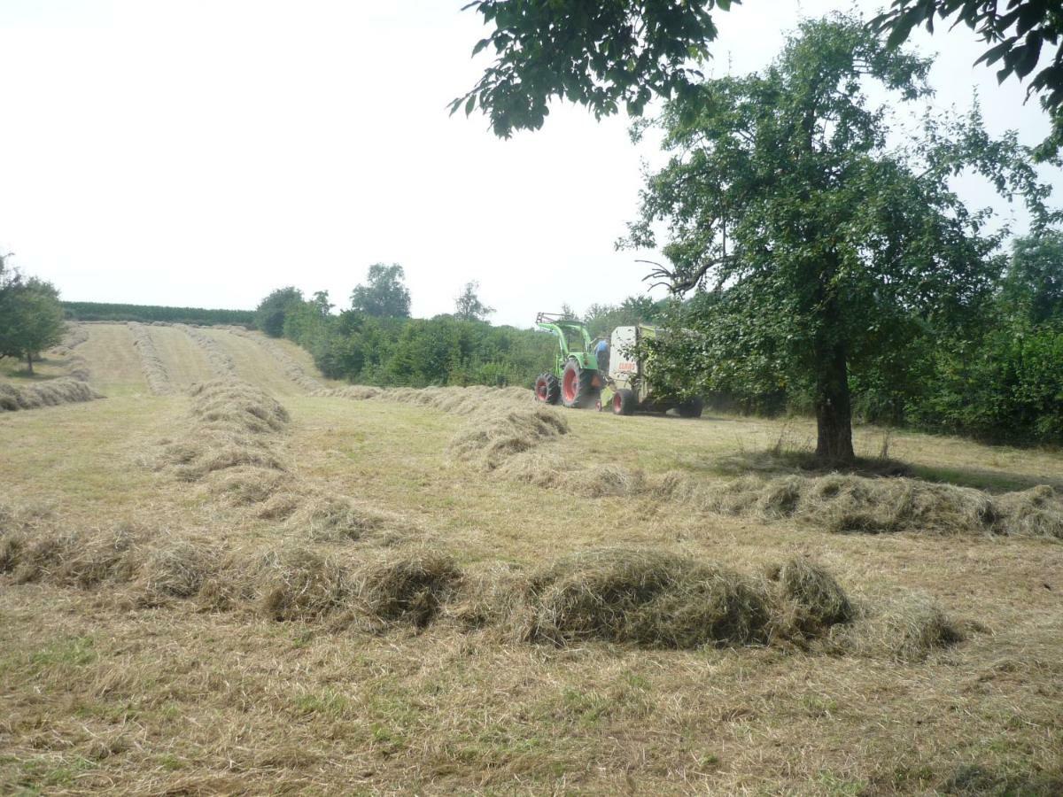 Hoeve Mingels Banholt Екстериор снимка
